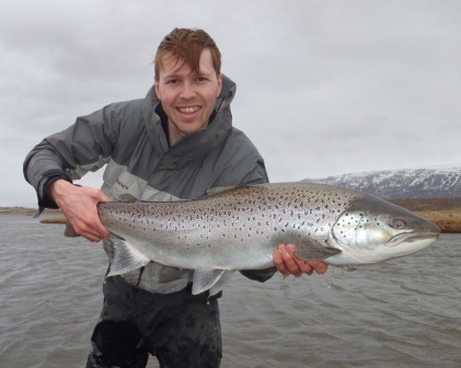 sea_trout_20015.jpg