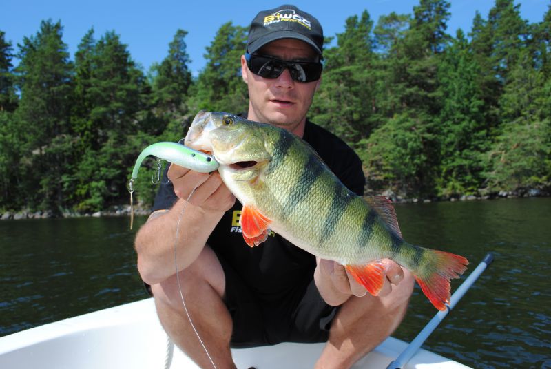 swedenpredatorfishing-lac-baven-gladdinge_7.jpg