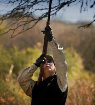 Снимок экрана 2017-08-19 в 13.56.59.png