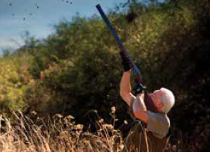 Снимок экрана 2017-08-19 в 13.57.38.png