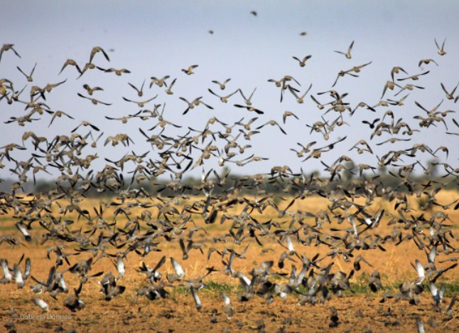 Снимок экрана 2017-08-19 в 14.05.02.png