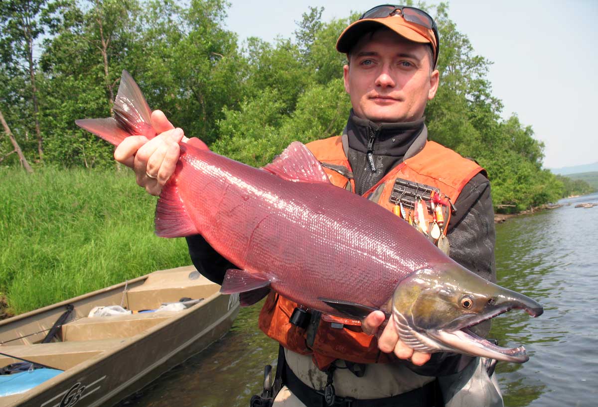 Рыбалка на реке Жупанова, Камчатка